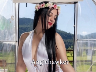 Angiehawker