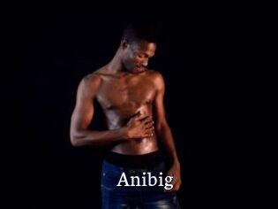 Anibig