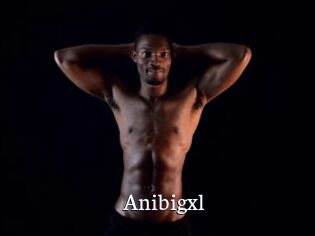 Anibigxl