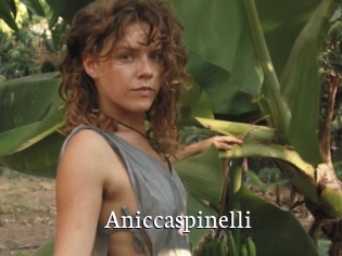 Aniccaspinelli