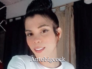 Antobigcock