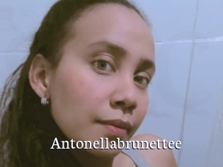 Antonellabrunettee