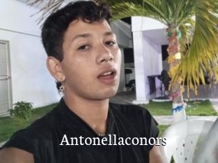 antonellaconors Gratis xxx Clips