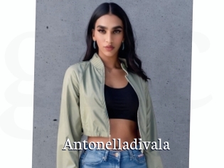 Antonelladivala