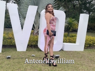 Antonellawilliam