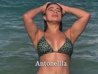 Antonellla