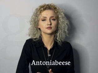 Antoniabeese
