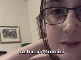 Antoniaborromini