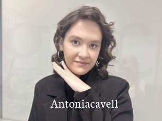 Antoniacavell