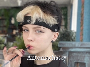 Antoniachasey