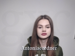 Antoniacordner