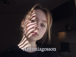 Antoniagosson