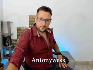 Antonywesk