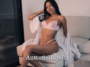 Anttonellabella