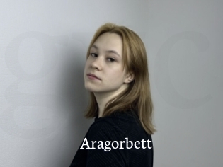 Aragorbett