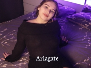 Ariagate