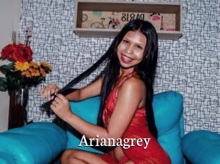 Arianagrey