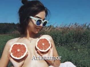Arinaamor