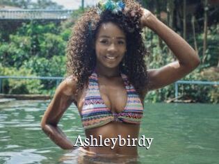 Ashleybirdy