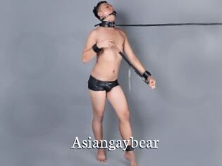 Asiangaybear
