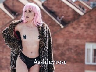 Asshleyrose