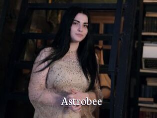 Astrobee
