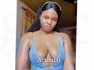Attiedal