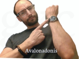 Avalonadonis