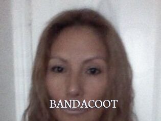 BANDACOOT