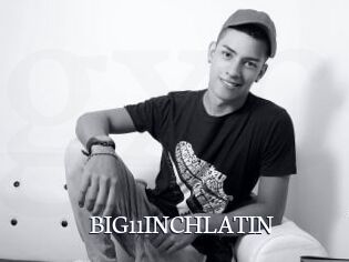 BIG11INCHLATIN