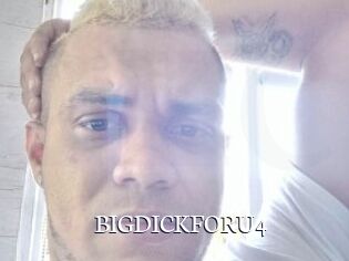 BIGDICKFORU4