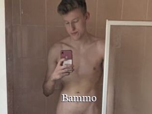 Bammo