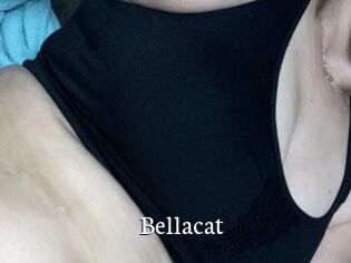 Bella_cat
