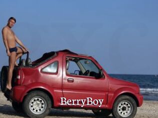 BerryBoy