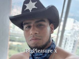BigPleasure_x
