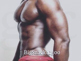 BigSnack42300