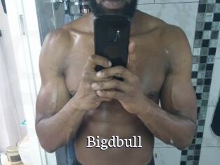 Bigdbull