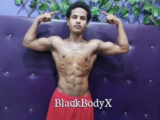 BlackBodyX