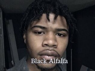 Black_Alfalfa