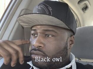 Black_owl