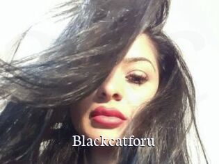 Blackcatforu