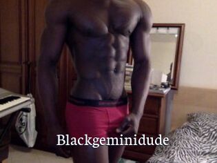 Blackgeminidude
