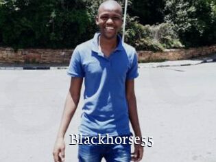 Blackhorse55
