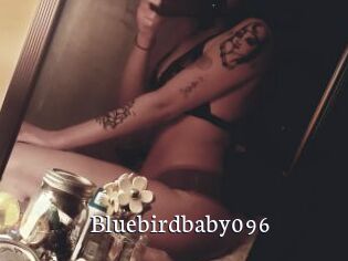 Bluebirdbaby096