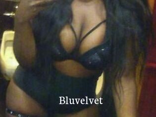 Bluvelvet