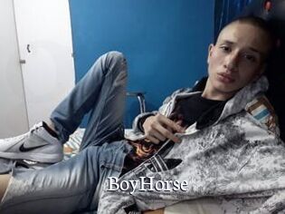 BoyHorse
