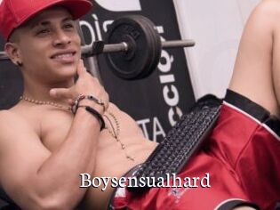 Boysensualhard