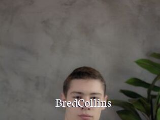 BredCollins