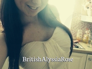 BritishAlyssiaRose