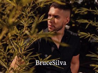 BruceSilva
